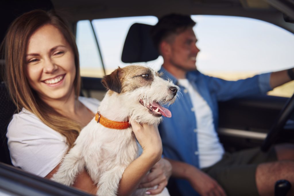 Happy people travelling with their pet